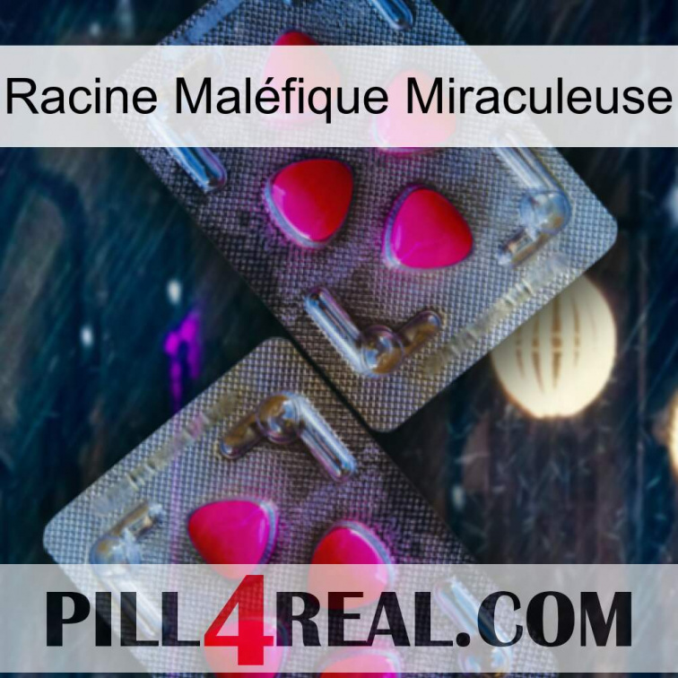 Racine Maléfique Miraculeuse 15